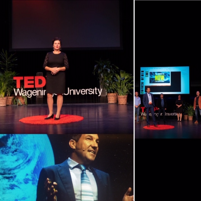 TEDxWageningenUniversity 2020
